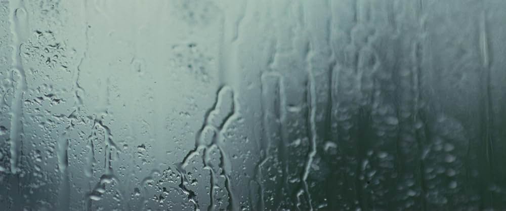 The End We Start From（原題）の画像