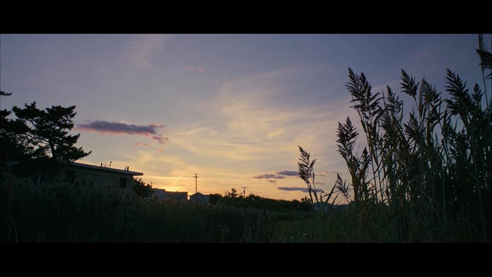 アメリカン・フィクションの画像