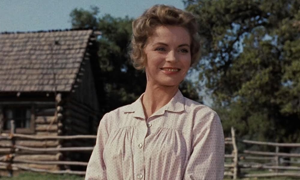 黄色い老犬の画像