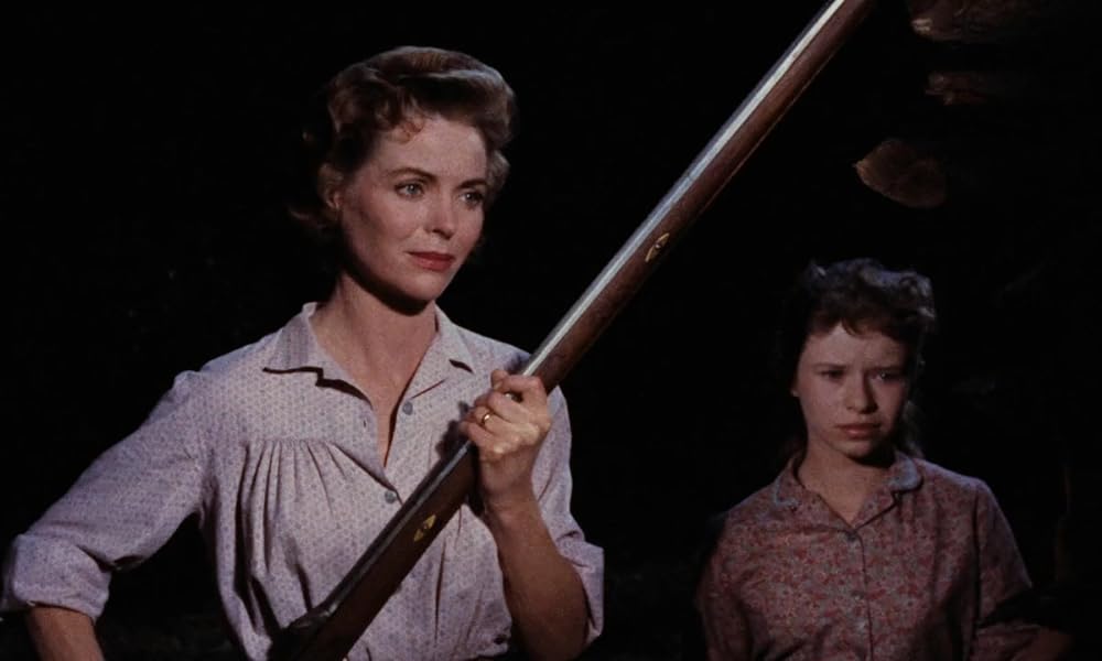 黄色い老犬の画像