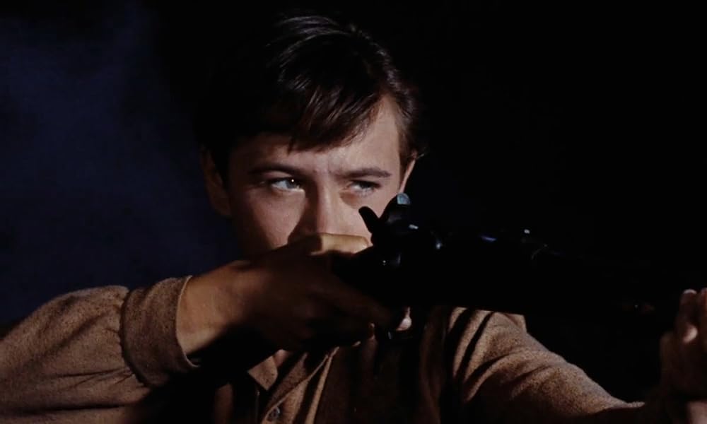 「黄色い老犬」トミー・カークの画像