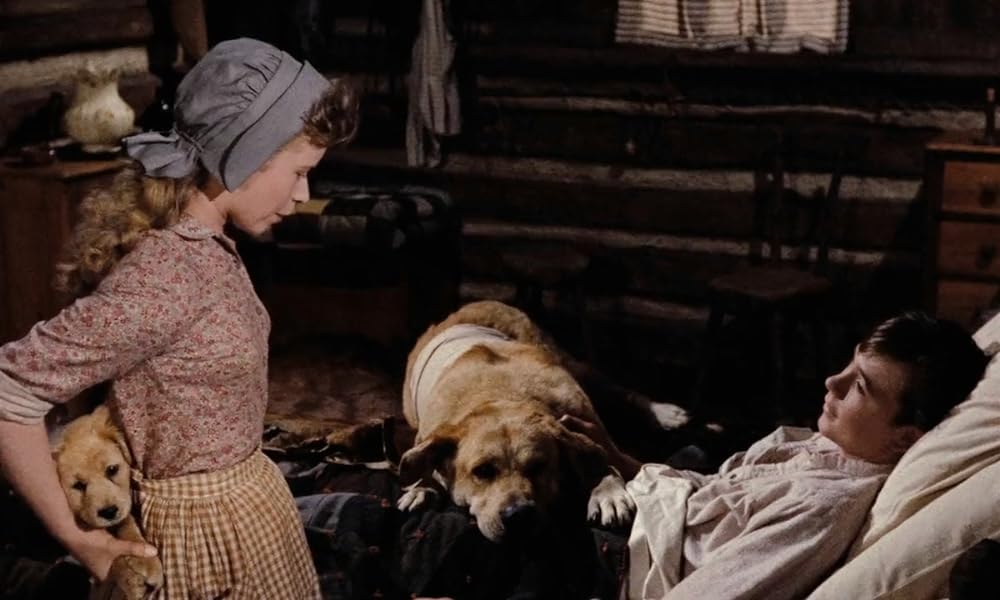 「黄色い老犬」トミー・カーク & Beverly Washburnの画像