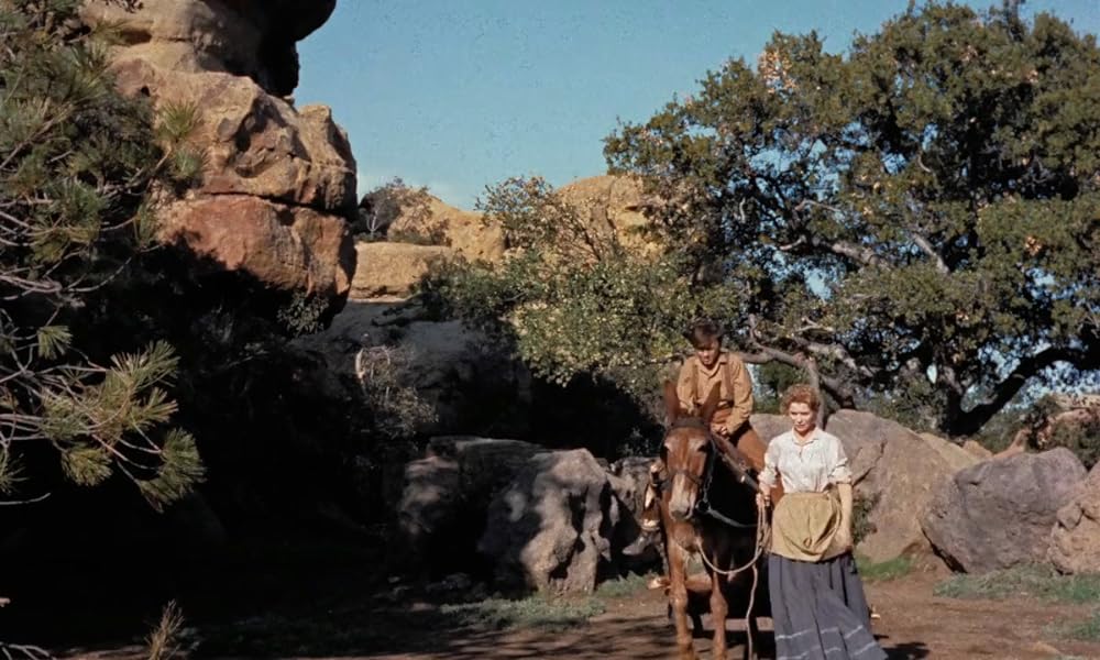 「黄色い老犬」トミー・カーク & ドロシー・マクガイアの画像