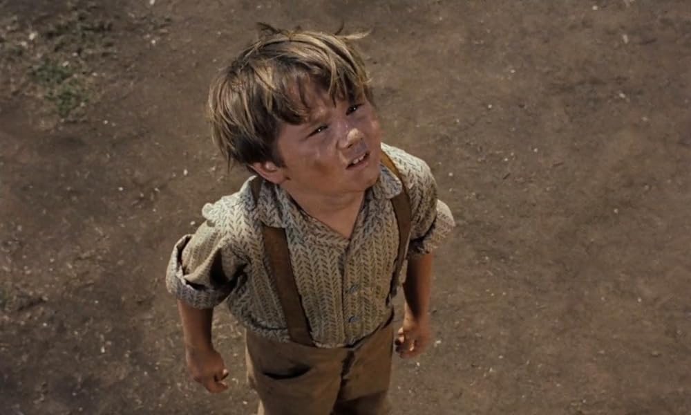 黄色い老犬の画像