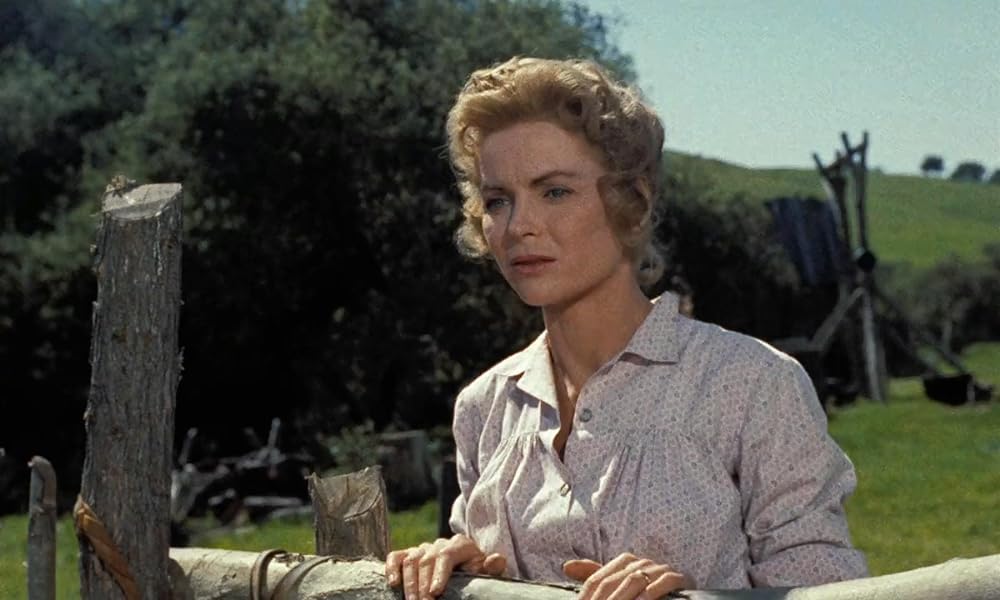 黄色い老犬の画像