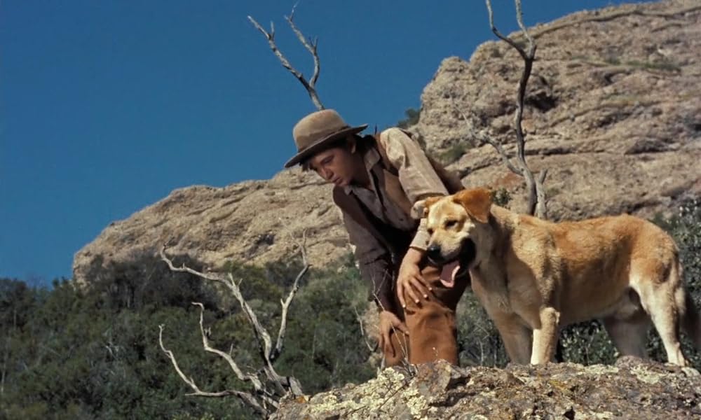 「黄色い老犬」トミー・カークの画像