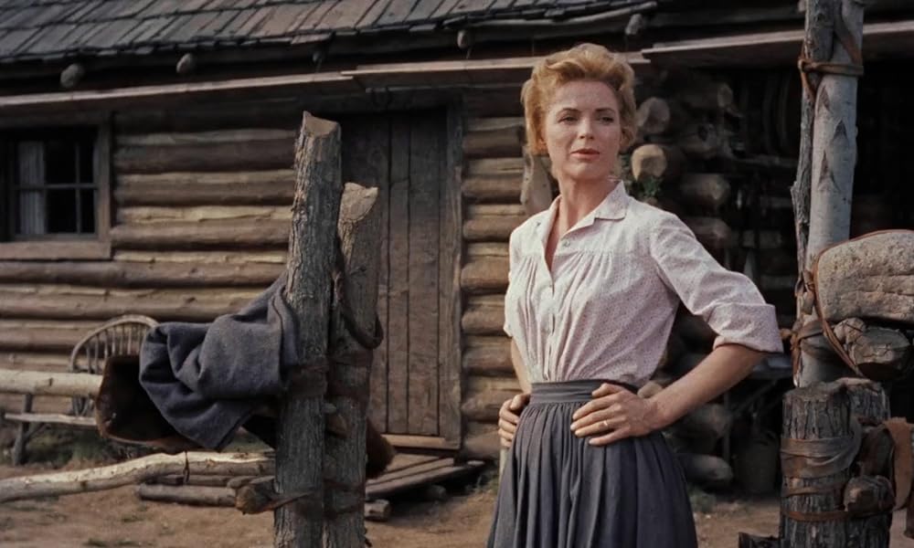 黄色い老犬の画像