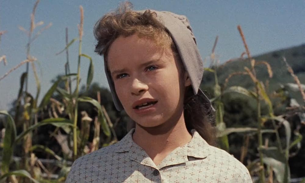 黄色い老犬の画像