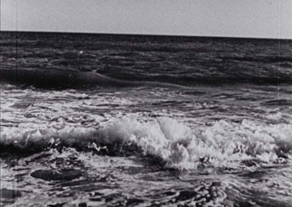 午後の網目の画像