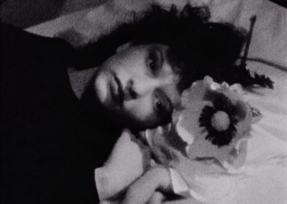 「午後の網目」Maya Derenの画像