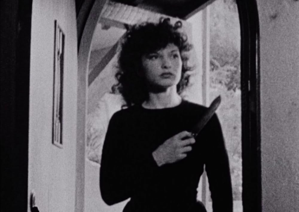 「午後の網目」Maya Derenの画像