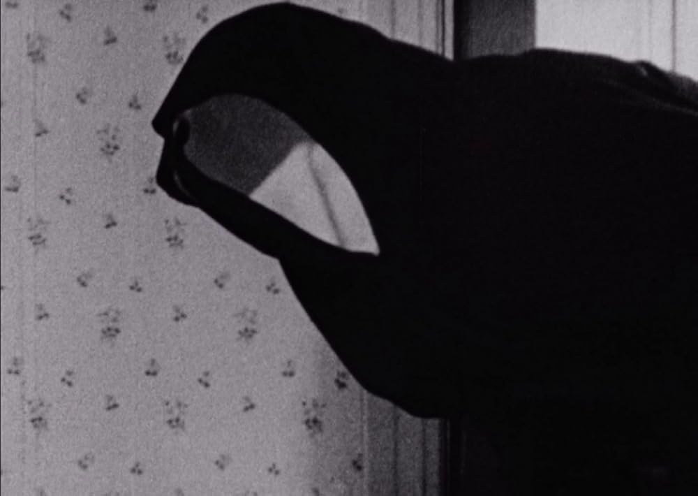 午後の網目の画像