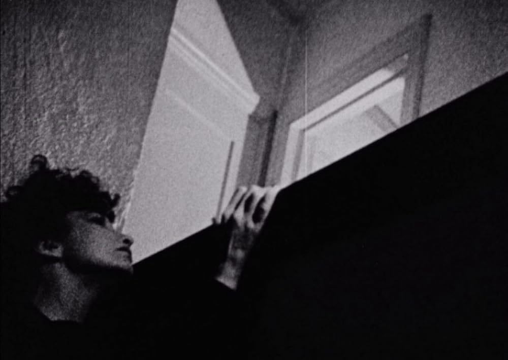 「午後の網目」Maya Derenの画像