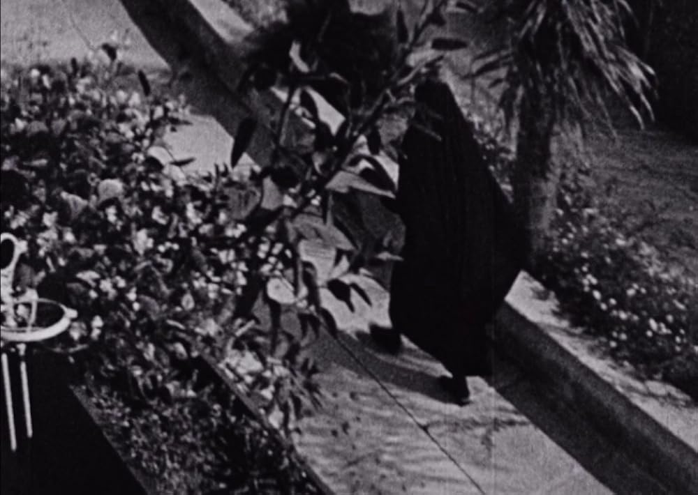 午後の網目の画像