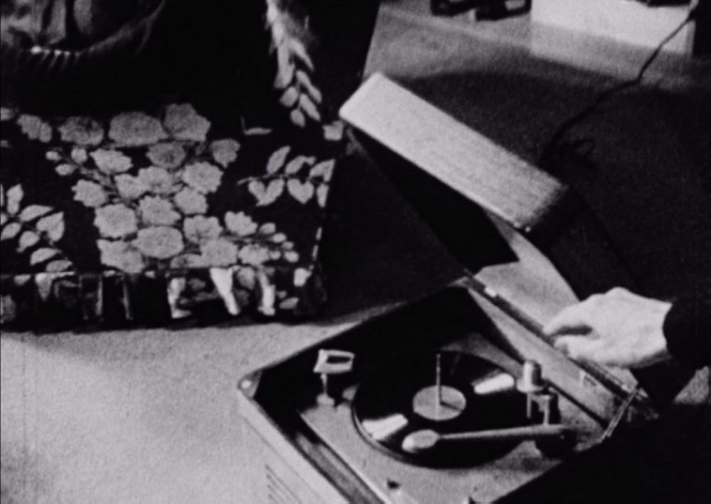 午後の網目の画像