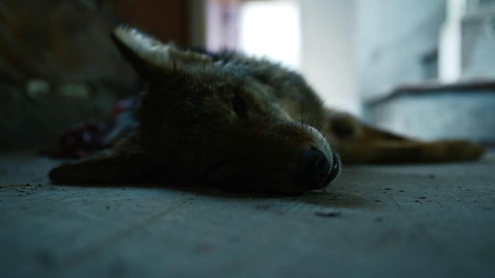 The Deeper You Dig（原題）の画像