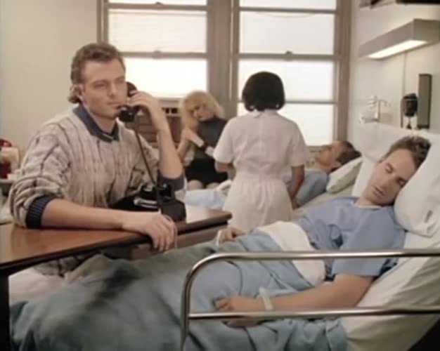 ロングタイム・コンパニオンの画像