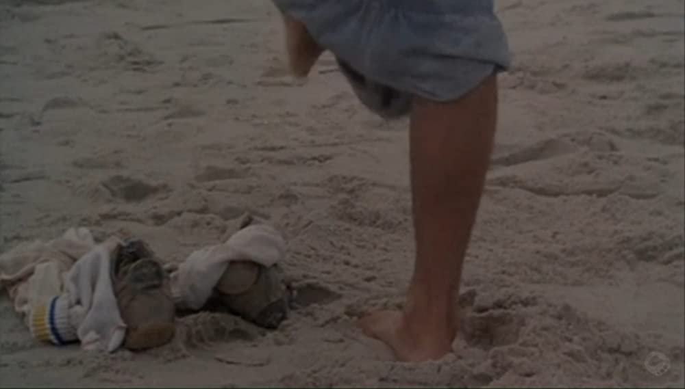 ロングタイム・コンパニオンの画像