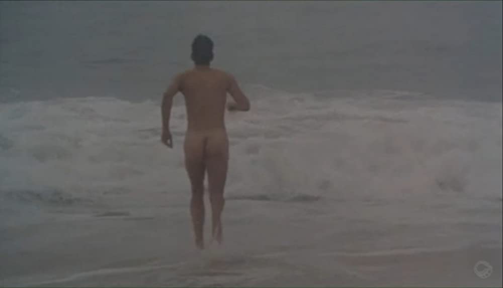 ロングタイム・コンパニオンの画像