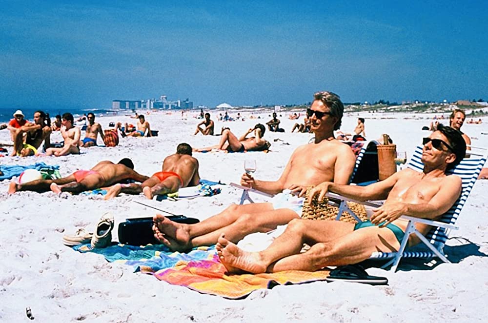 ロングタイム・コンパニオンの画像