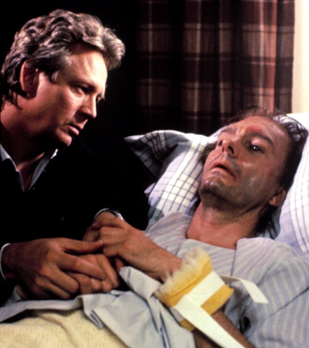 ロングタイム・コンパニオンの画像