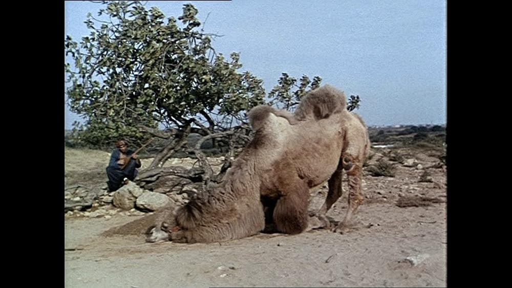 アシク・ケリブの画像