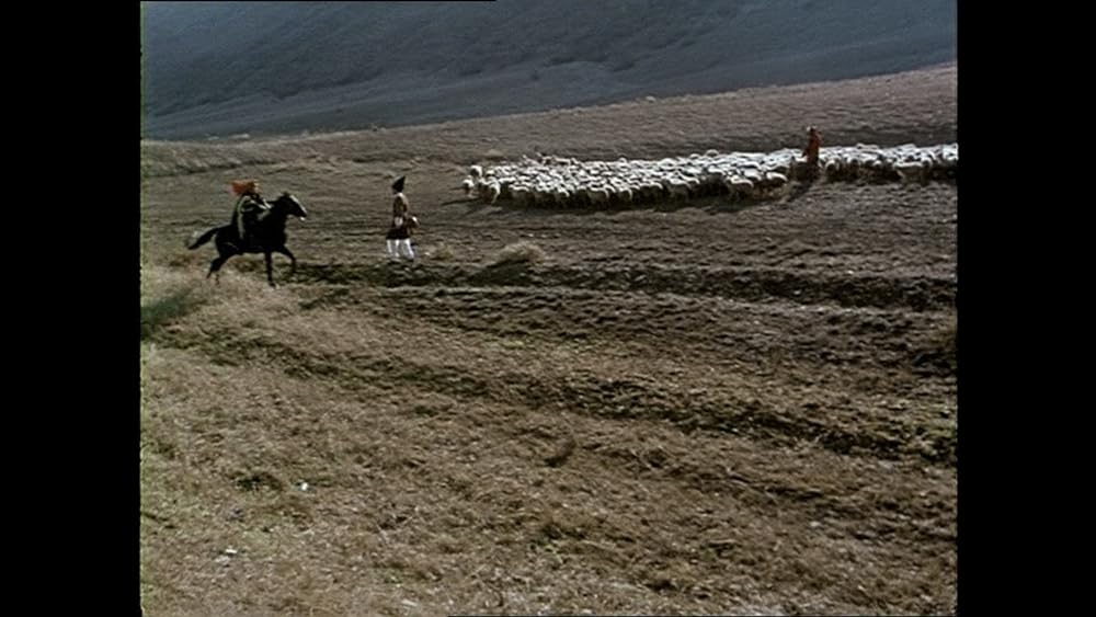 アシク・ケリブの画像