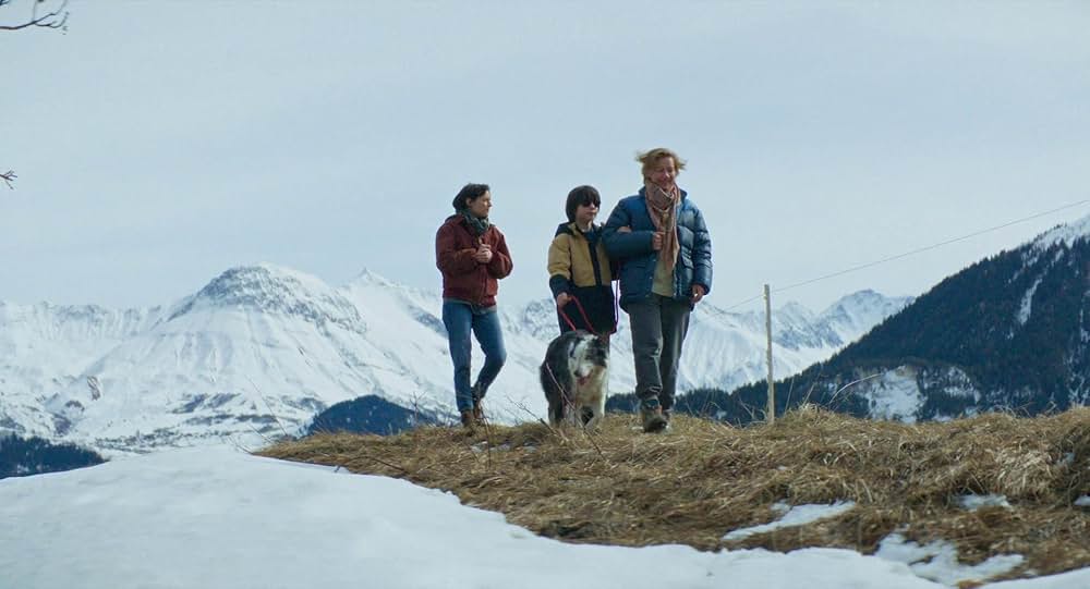 落下の解剖学の画像