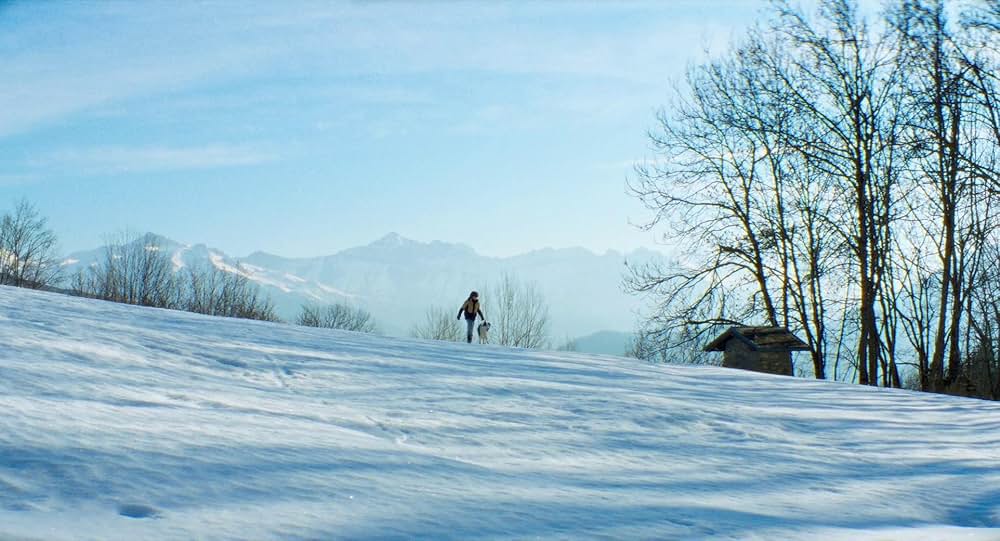 落下の解剖学の画像