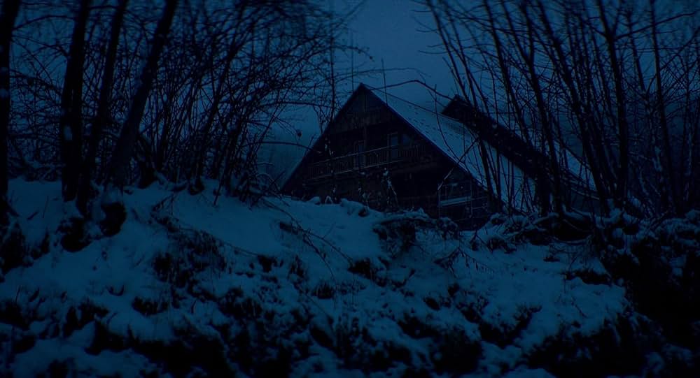 落下の解剖学の画像