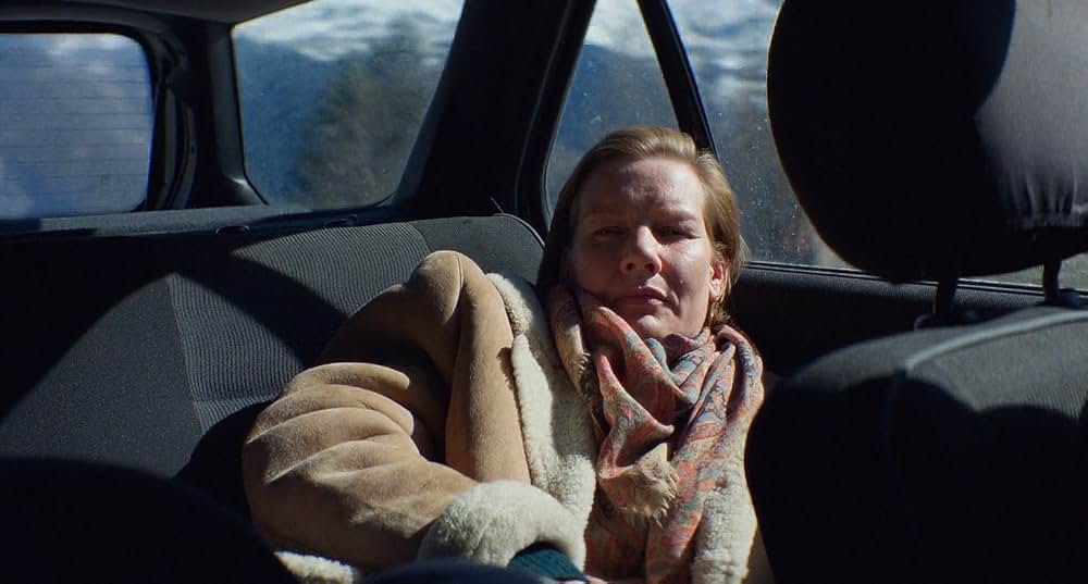 落下の解剖学の画像