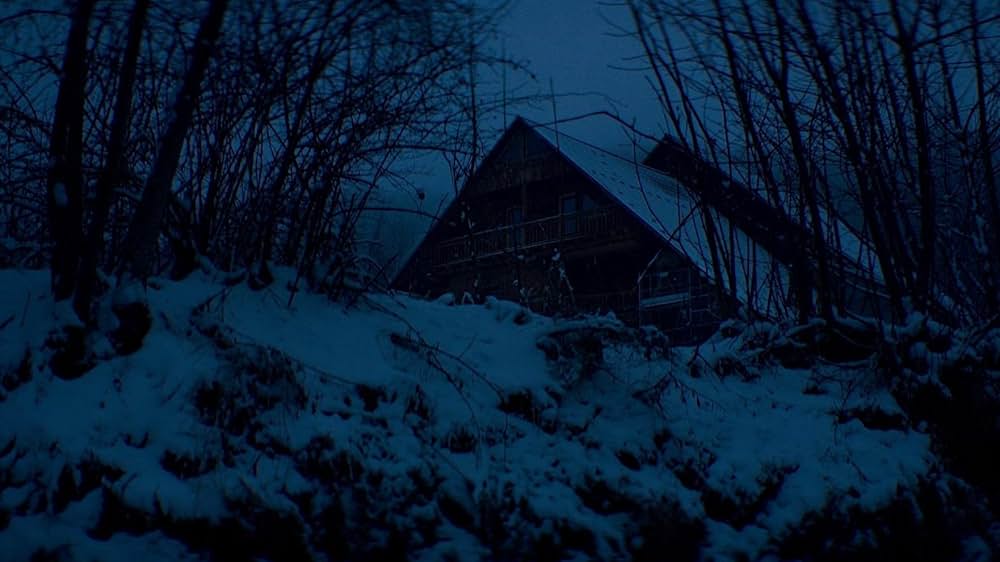 落下の解剖学の画像