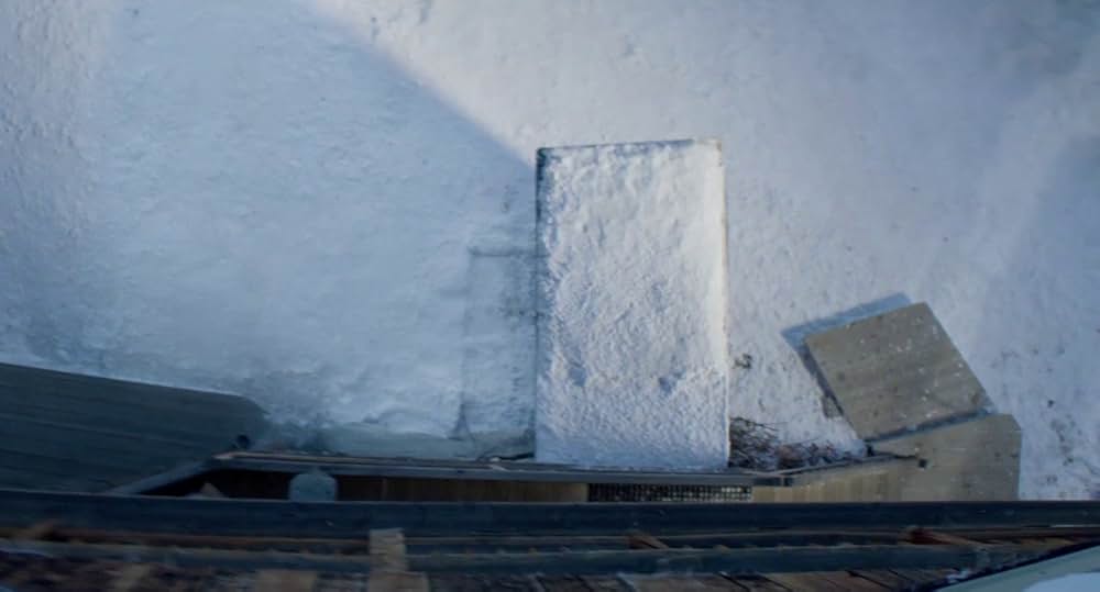 落下の解剖学の画像