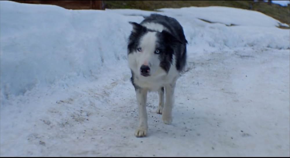 落下の解剖学の画像