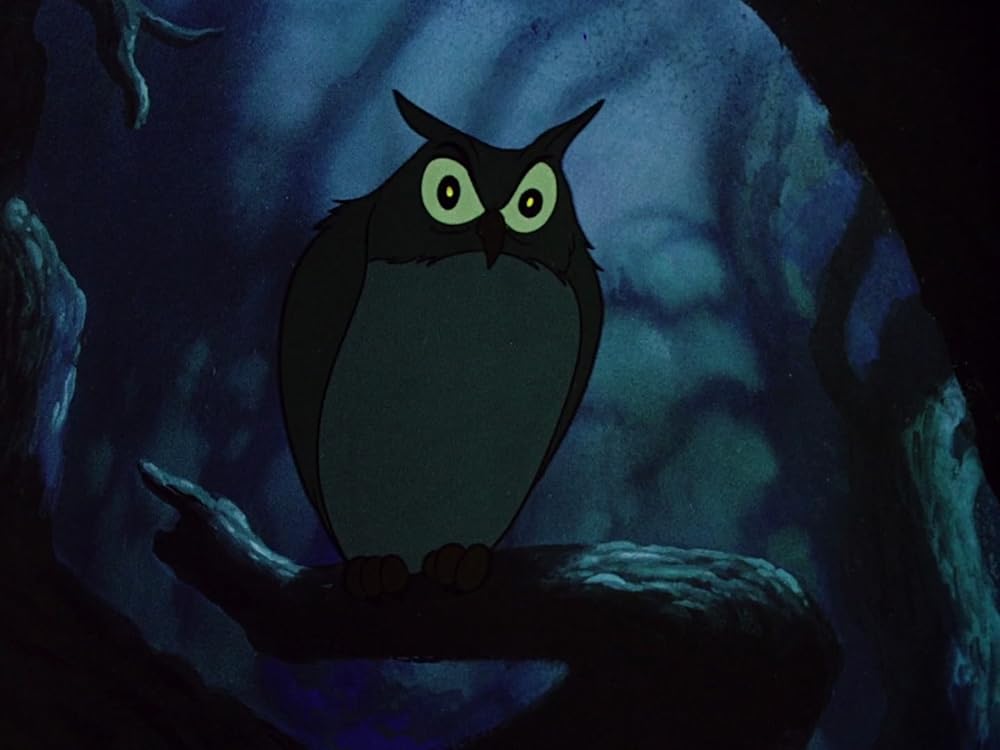 イカボードとトード氏の画像