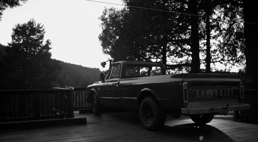 ブルー・ジェイの画像