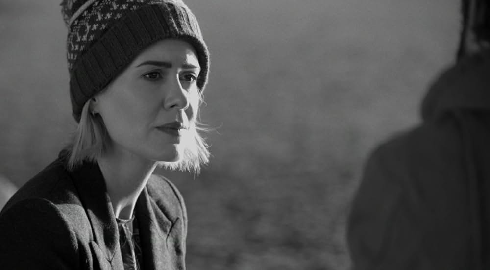 ブルー・ジェイの画像