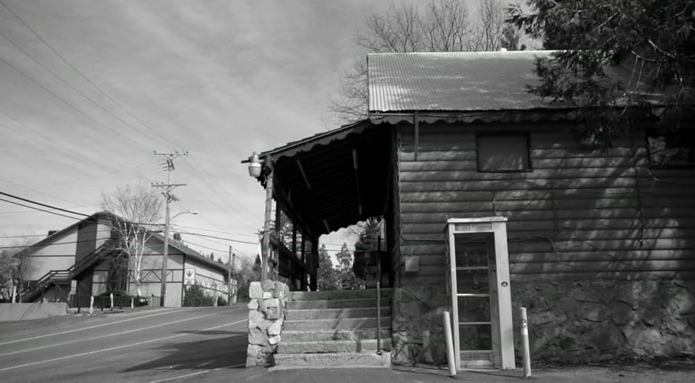 ブルー・ジェイの画像