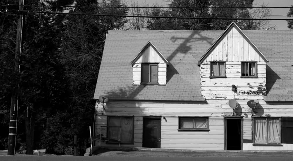 ブルー・ジェイの画像