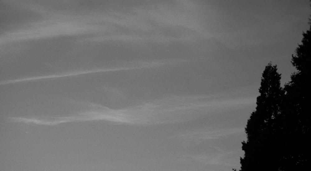 ブルー・ジェイの画像