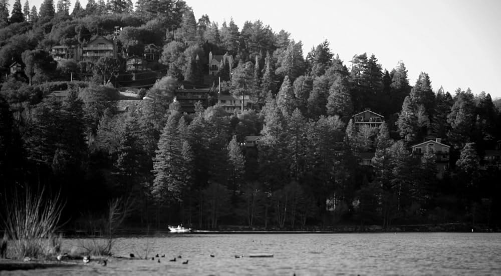 ブルー・ジェイの画像