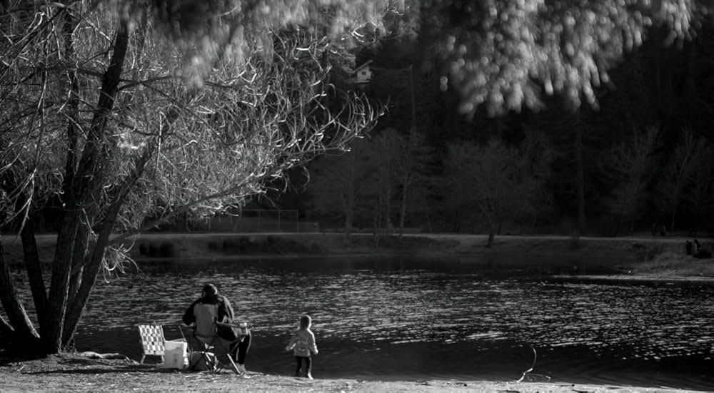 ブルー・ジェイの画像