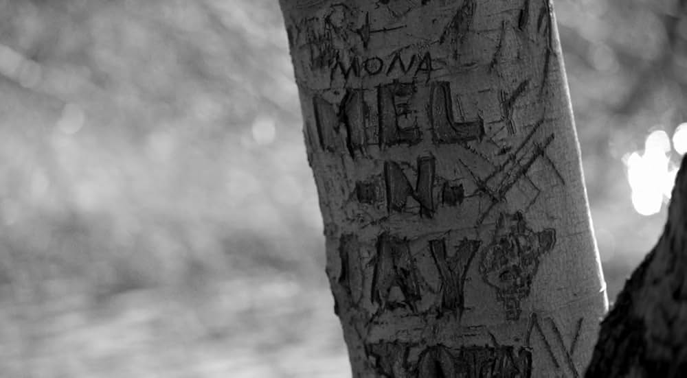 ブルー・ジェイの画像