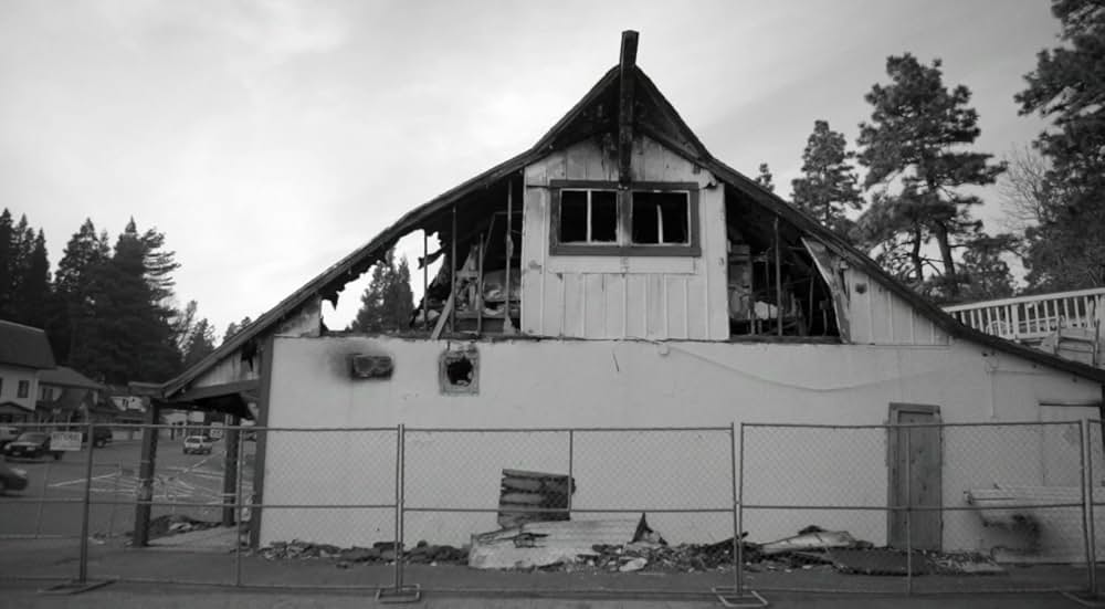 ブルー・ジェイの画像