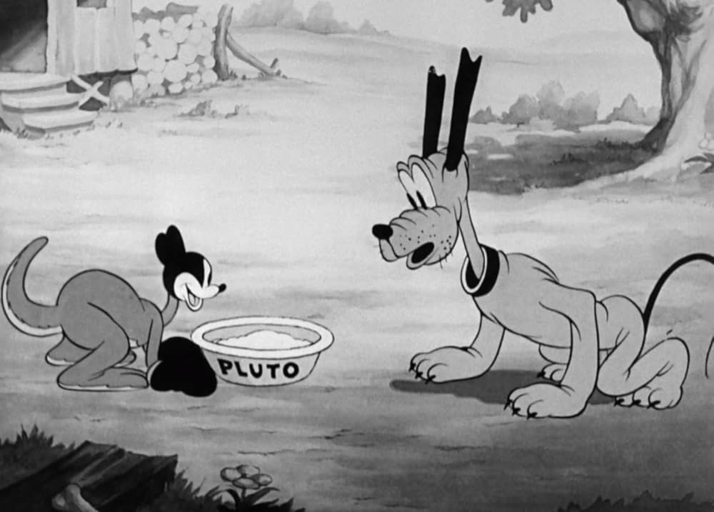 ミッキーのカンガルー／ミッキーとカンガルーの画像