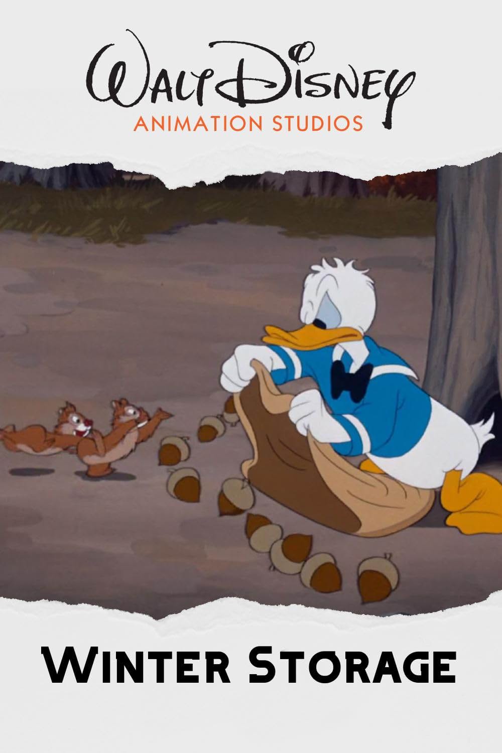 リスの冬支度の画像