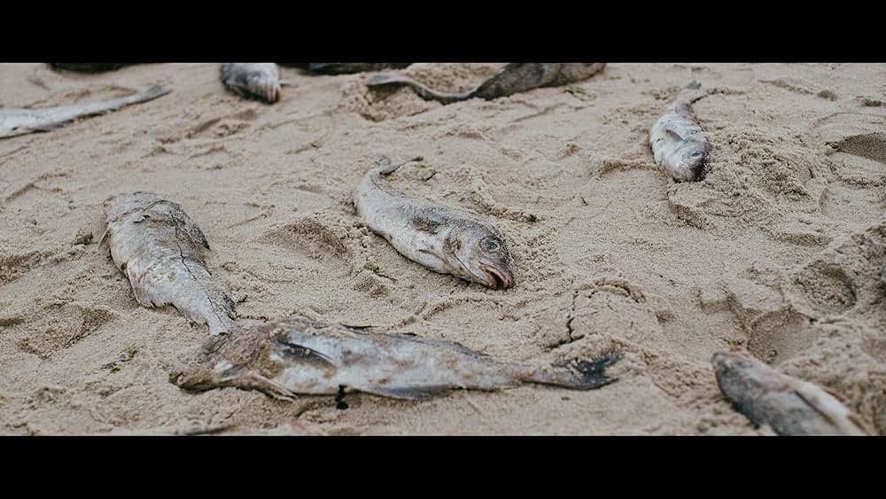 ブロックアイランド海峡の画像