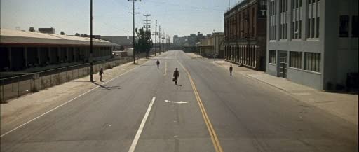 ワイルド・アット・ハートの画像