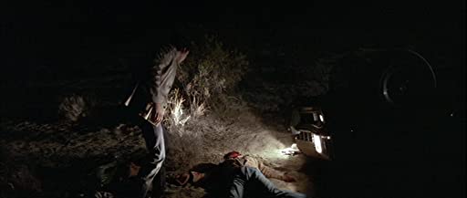 ワイルド・アット・ハートの画像