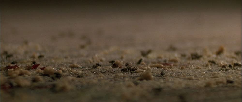 ワイルド・アット・ハートの画像